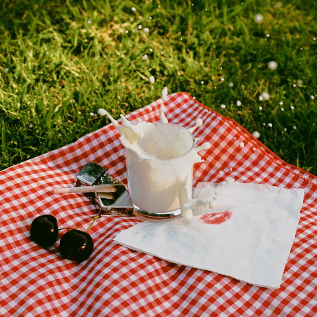 Picnic