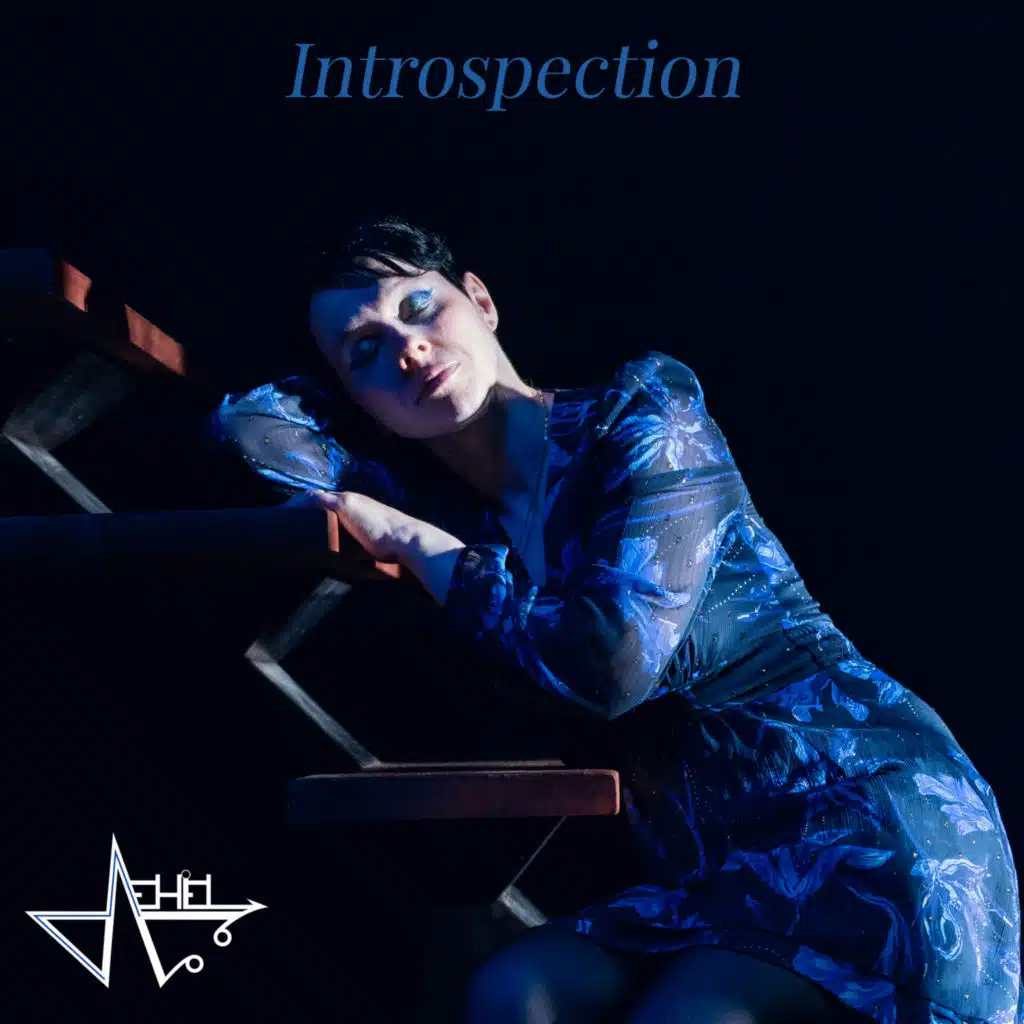 Introspection