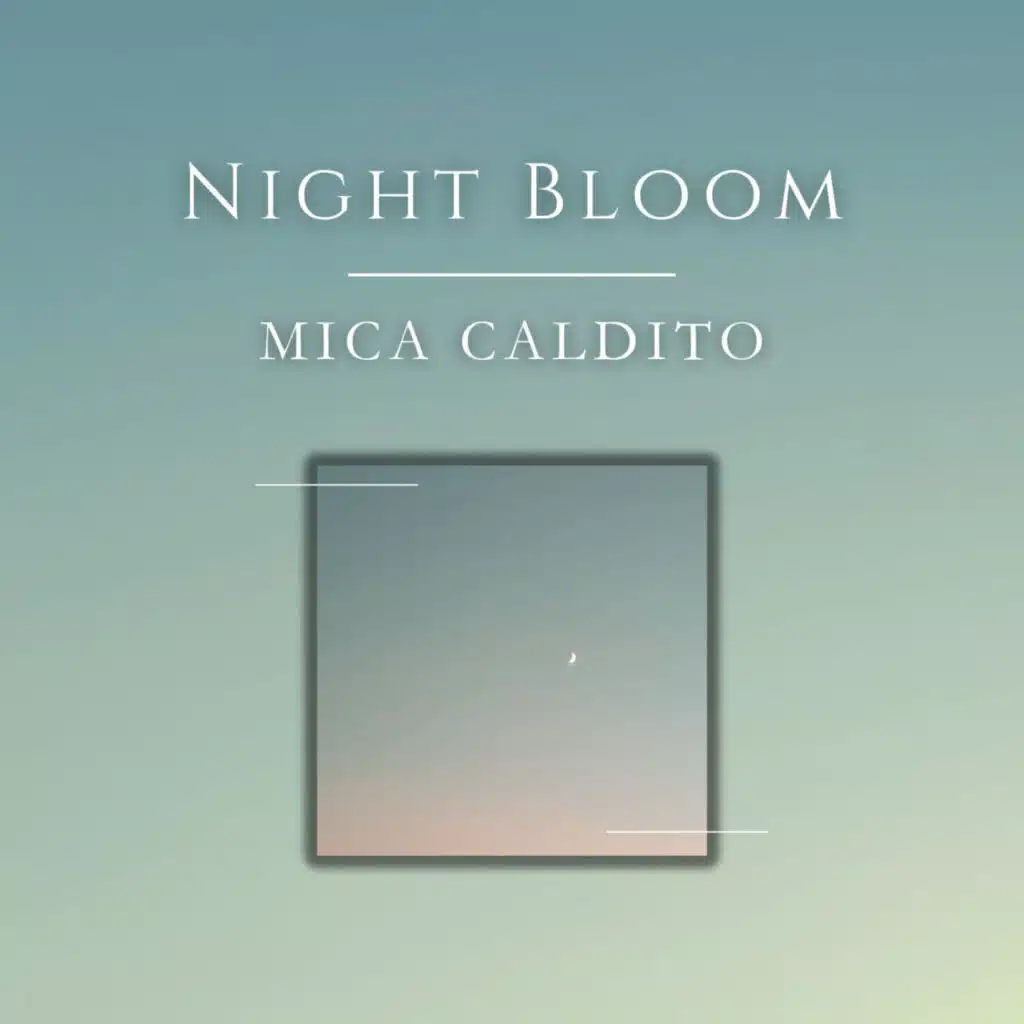 Night Bloom