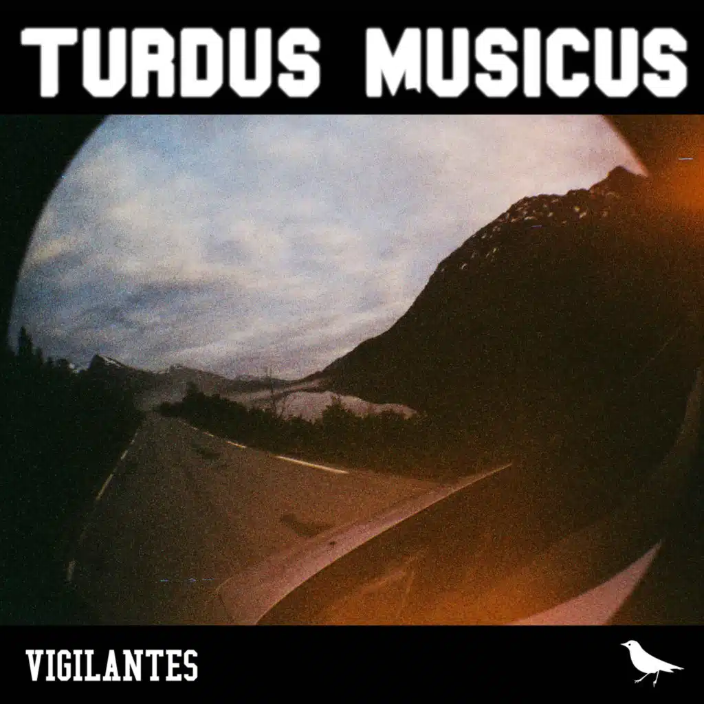 VIGILANTES