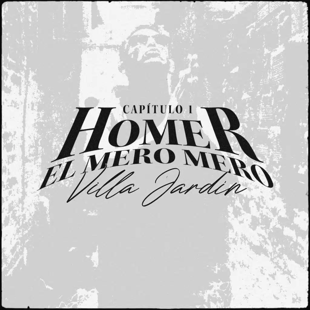 Homer El Mero Mero