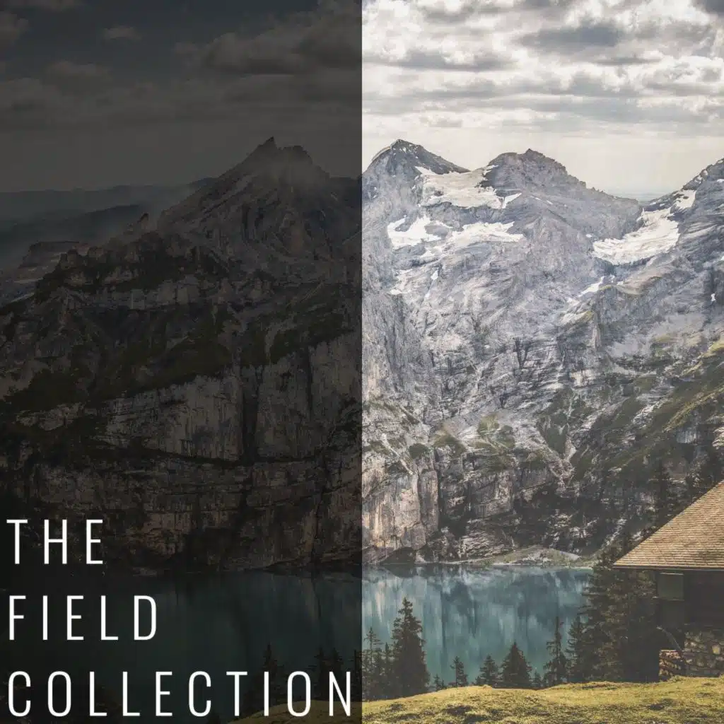 The Field Collection