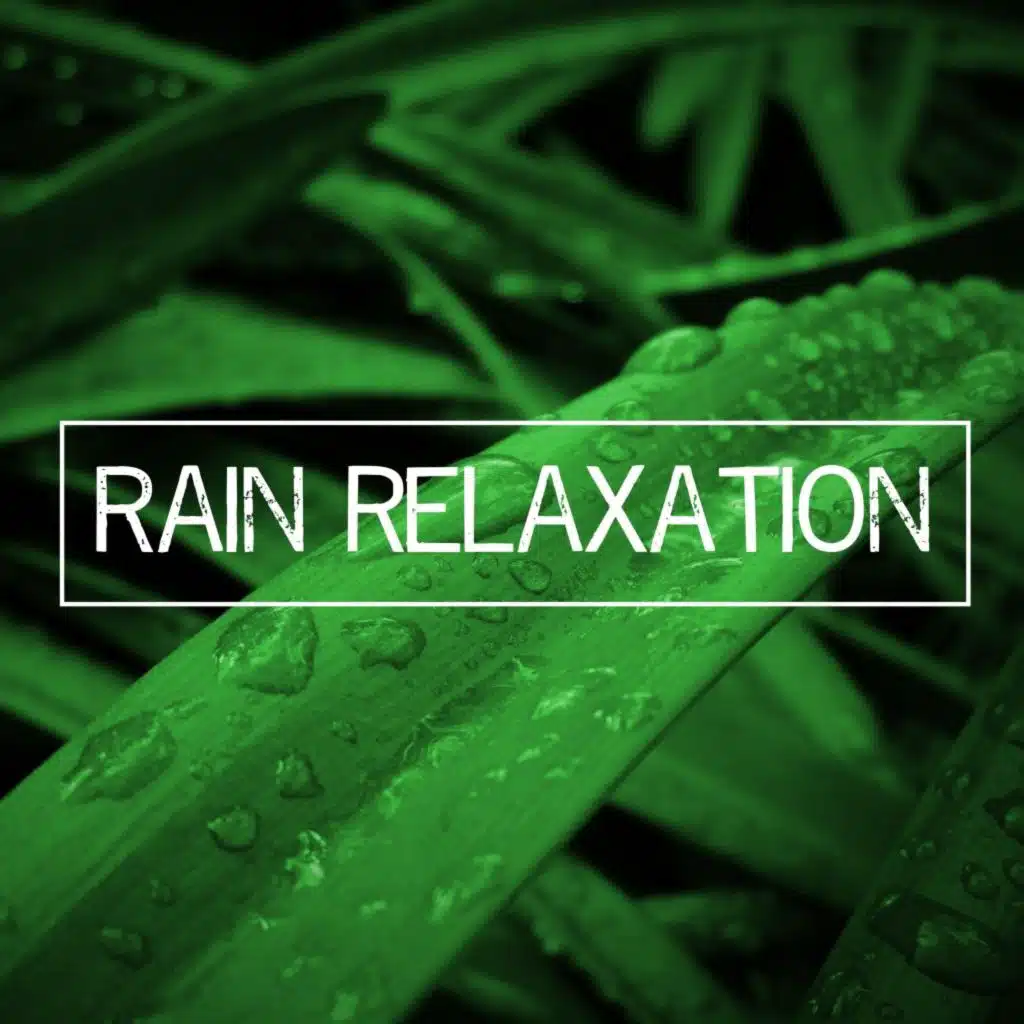 Rain Relaxation