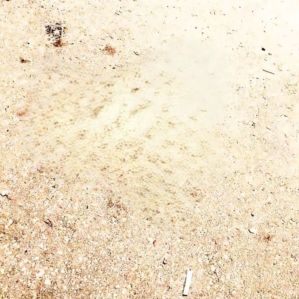 Венерический букет