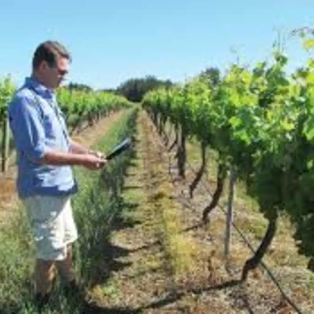 Yield Assessment