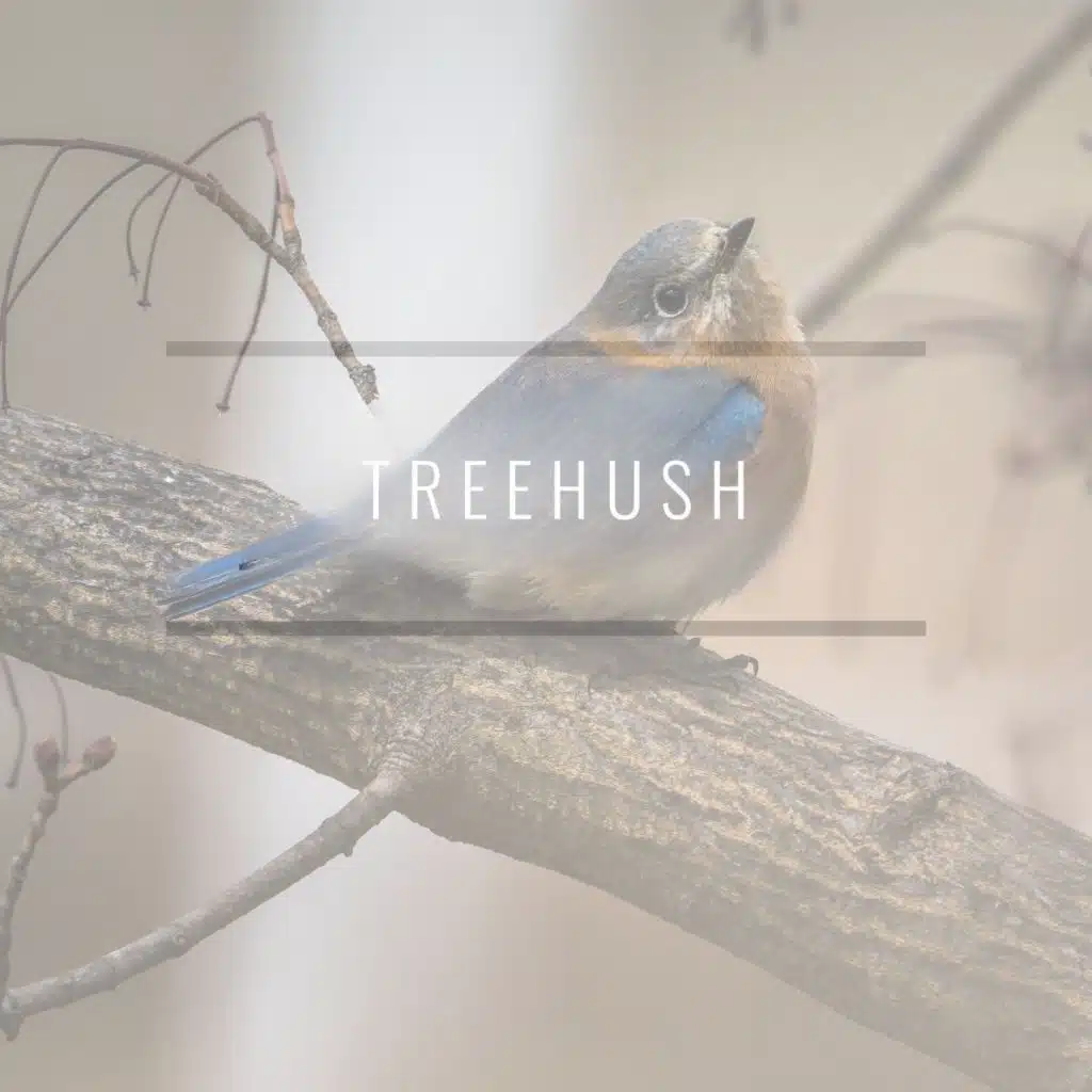 Treehush