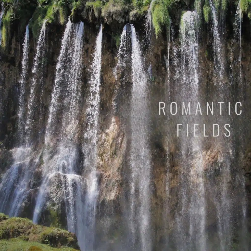 Field Notes Collective