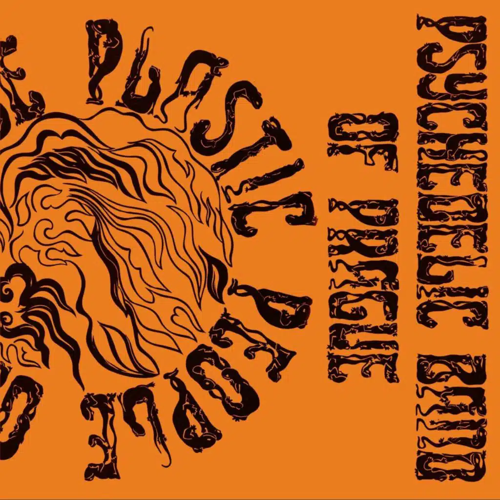 The Plastic People Of The Universe