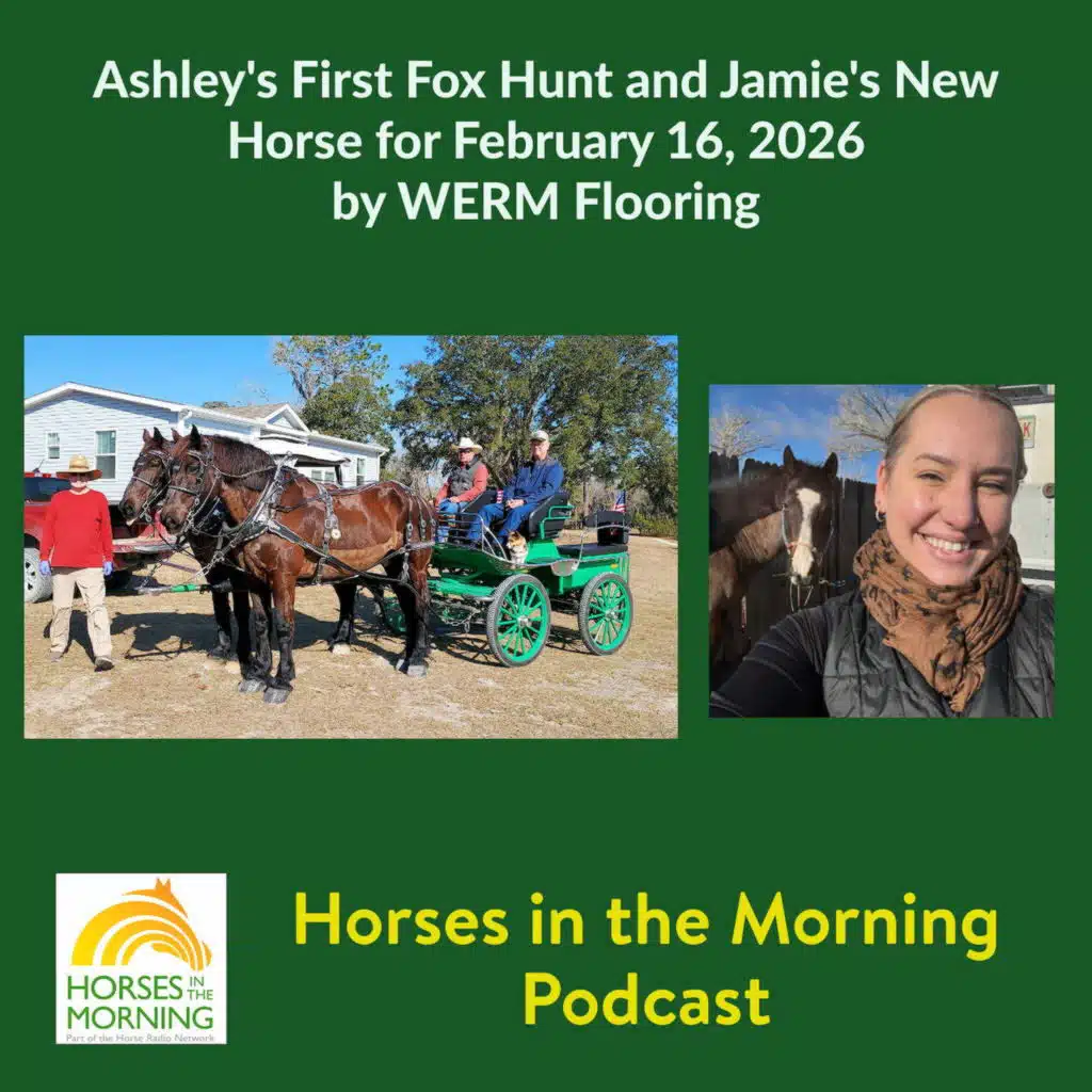 Ashley's First Fox Hunt and Jamie's New Horse for February 16, 2026 by WERM Flooring