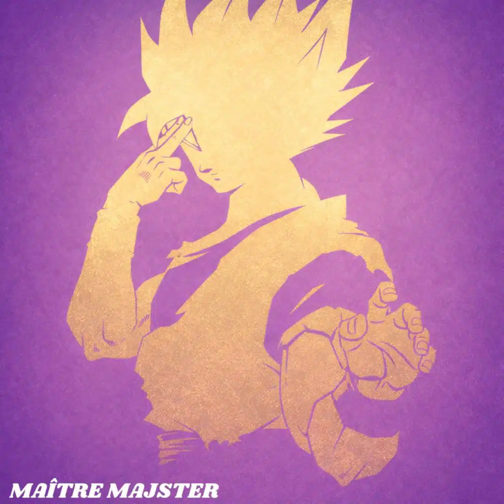 Maître Majster