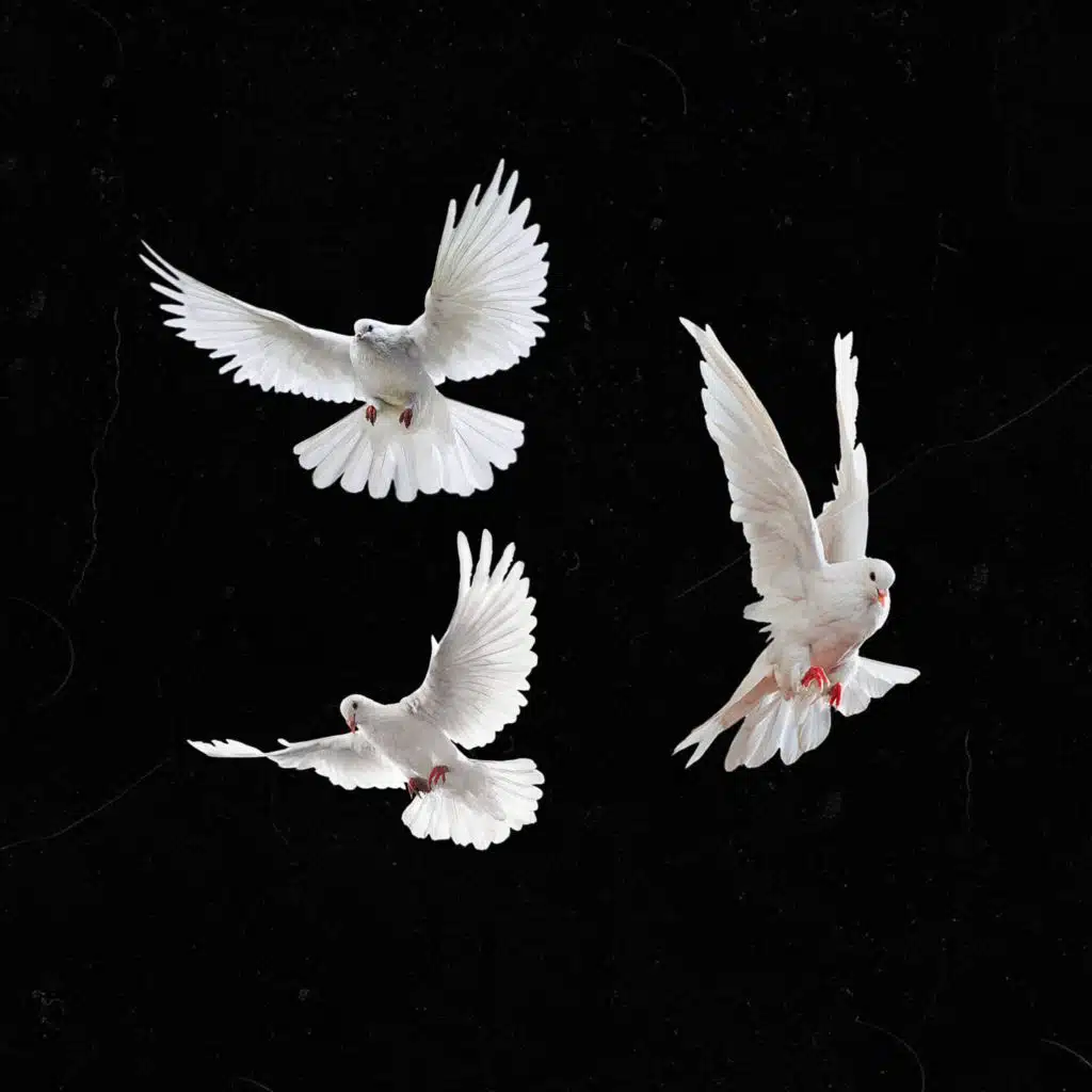 3 Doves (feat. Ortiz, 3D & SLVG)