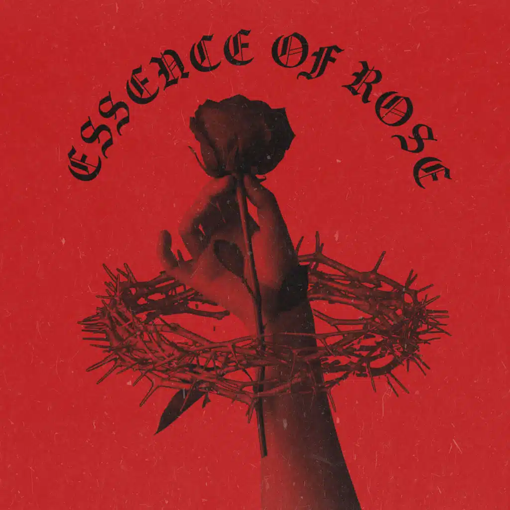 Essence Of Rose