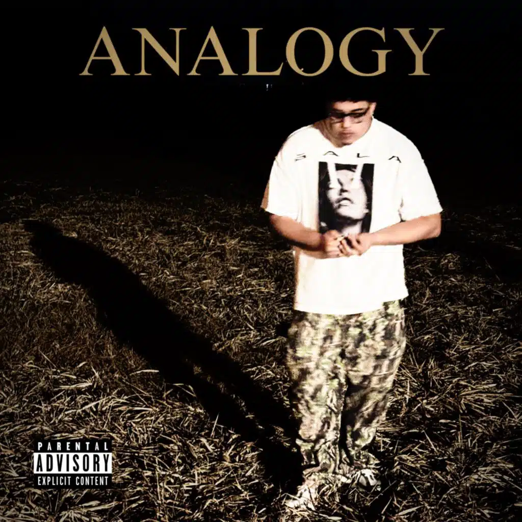 analogy