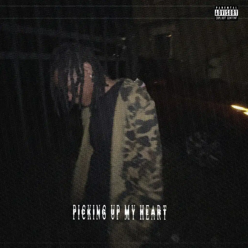 PICKING UP MY HEART