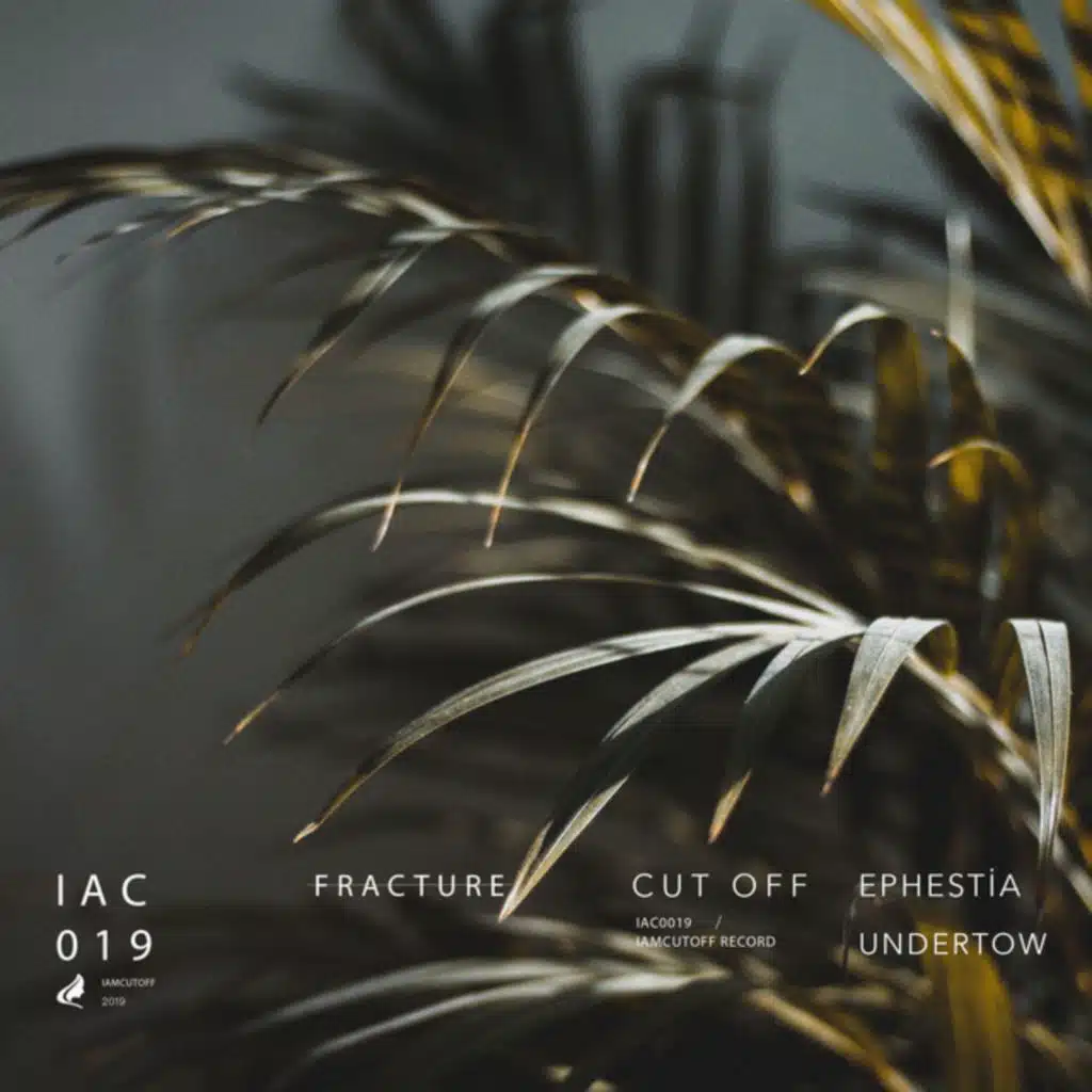 Fracture