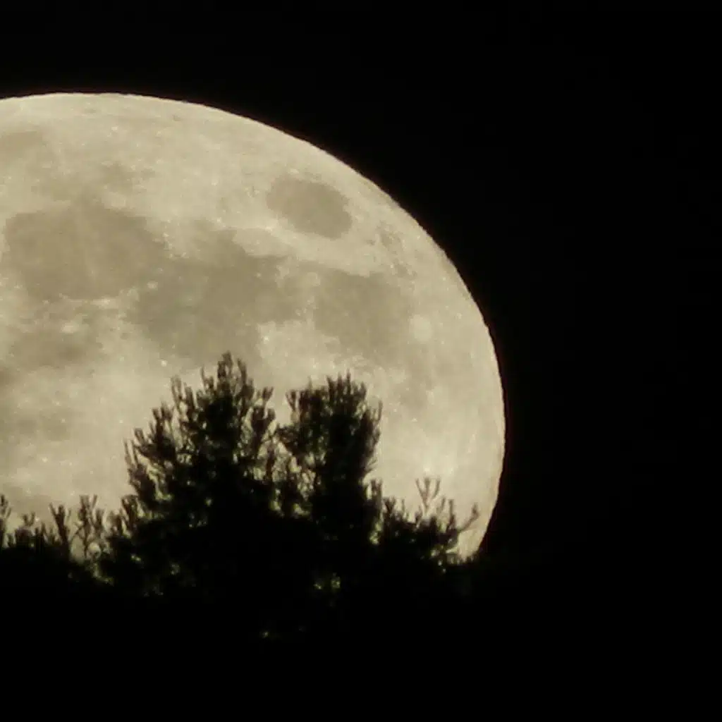 Si tuviese otra vida (arabe)