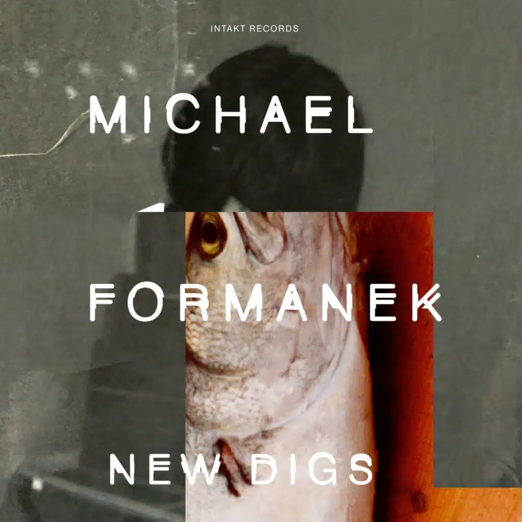 Michael Formanek
