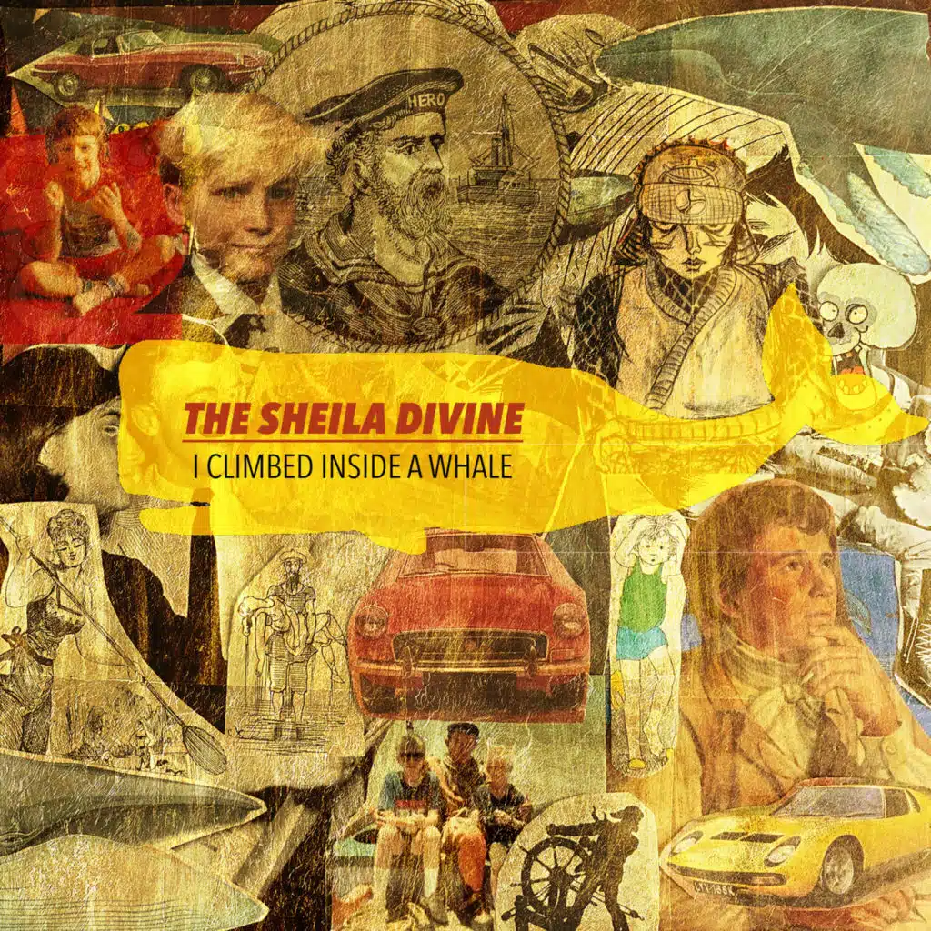 The Sheila Divine