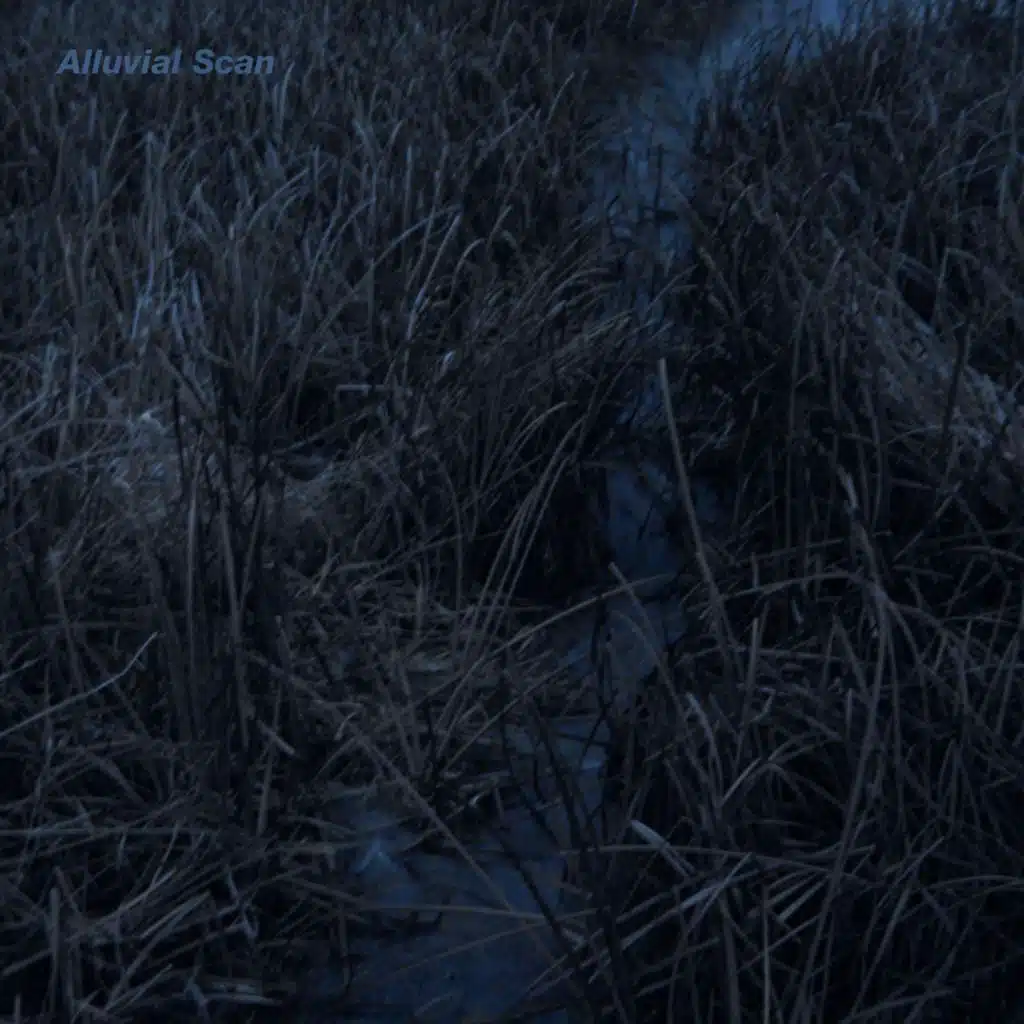 Alluvial Scan