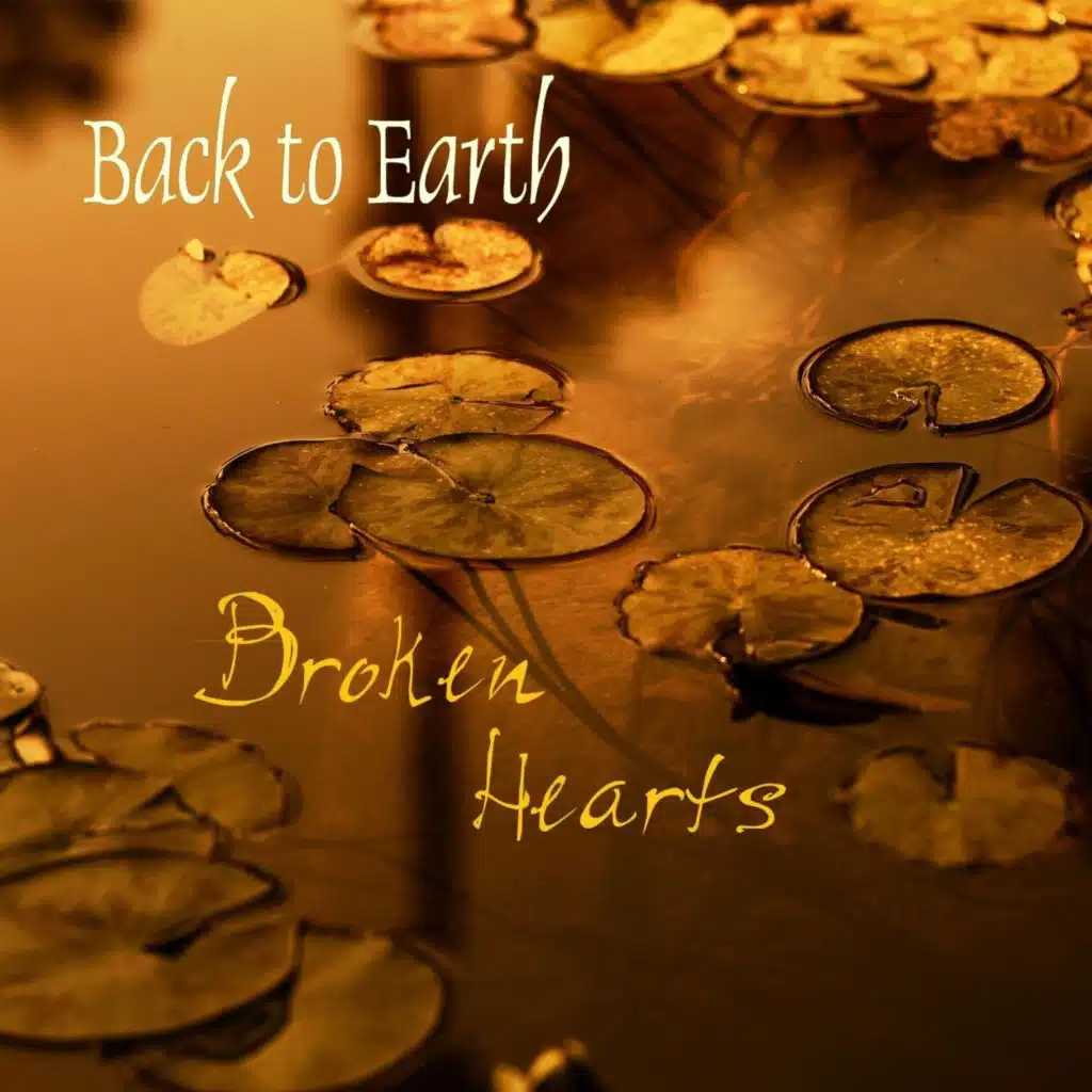 Back to Earth