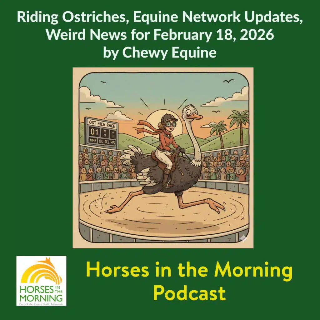 Riding Ostriches, Equine Network Updates, Weird News for February 18, 2026 by Chewy Equine