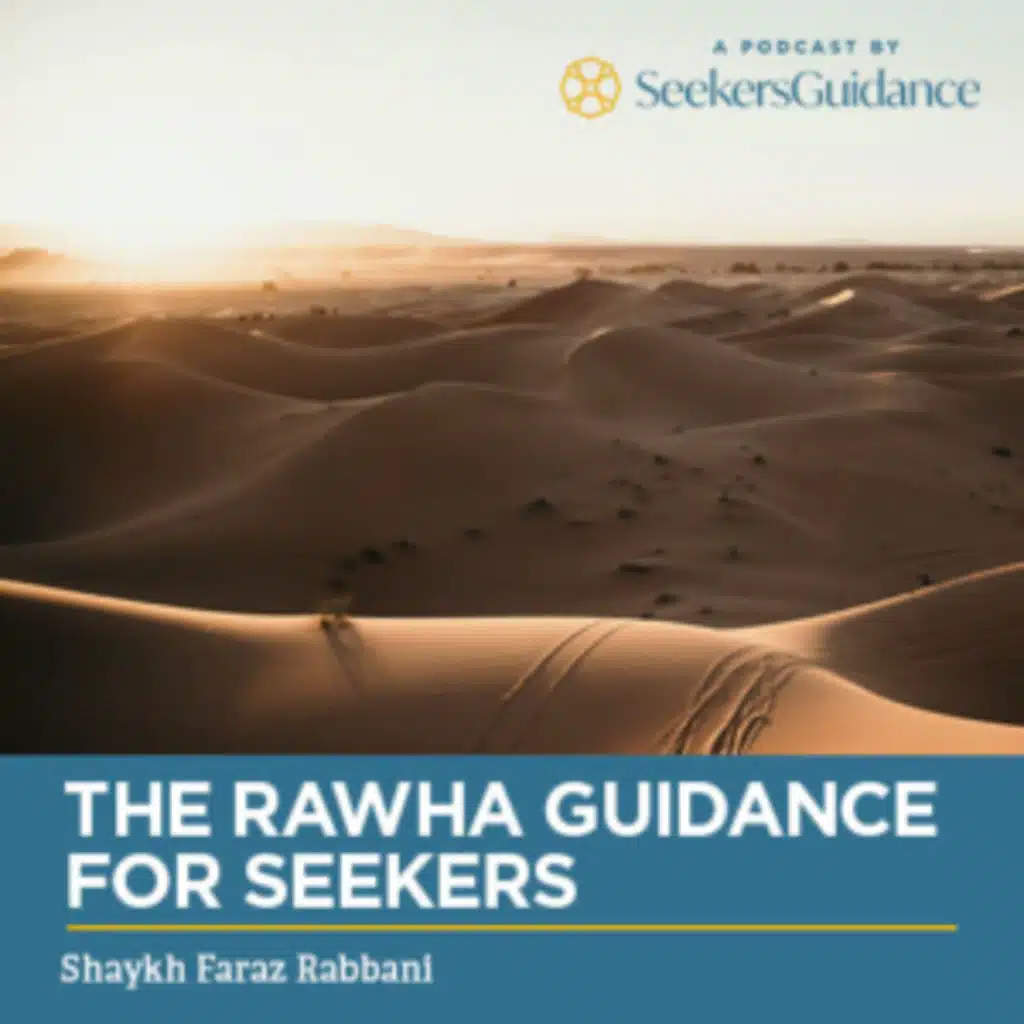 181- The Rawha- Guidance for Seekers-Upholding Truth & Good Company  – Shaykh Faraz Rabbani