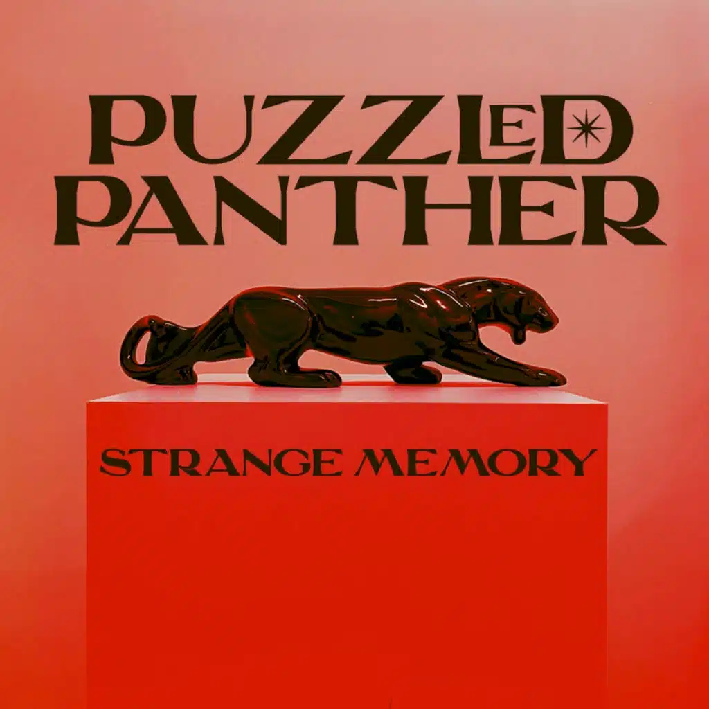 Puzzled Panther