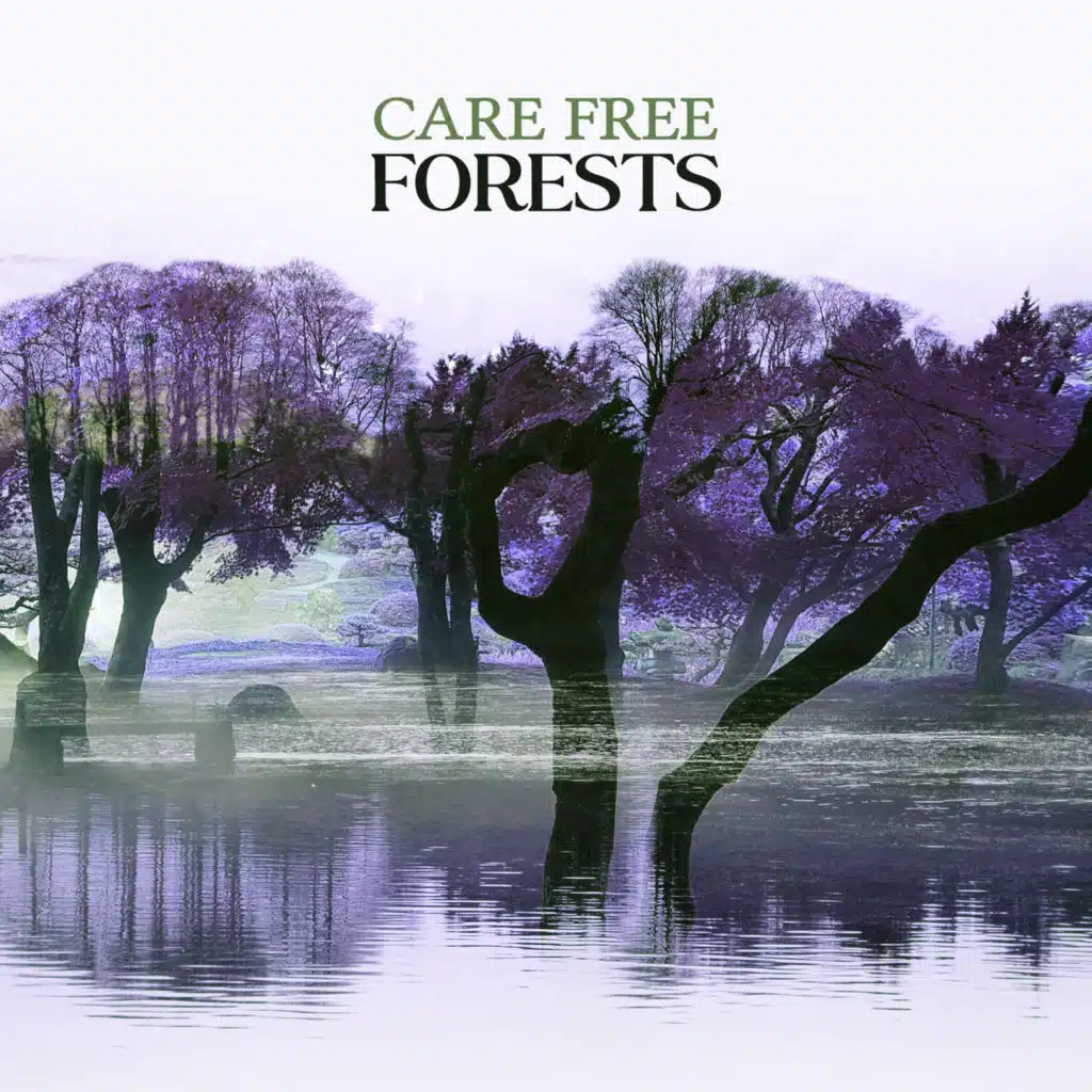 Care Free Forests