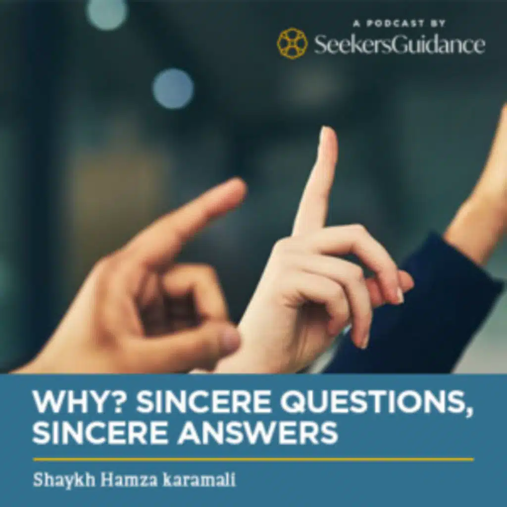 16 – Allah Asks: Why Do You Worship Other Gods?  Why, Sincere Questions, Sincere Answers – Shaykh Hamza Karamali