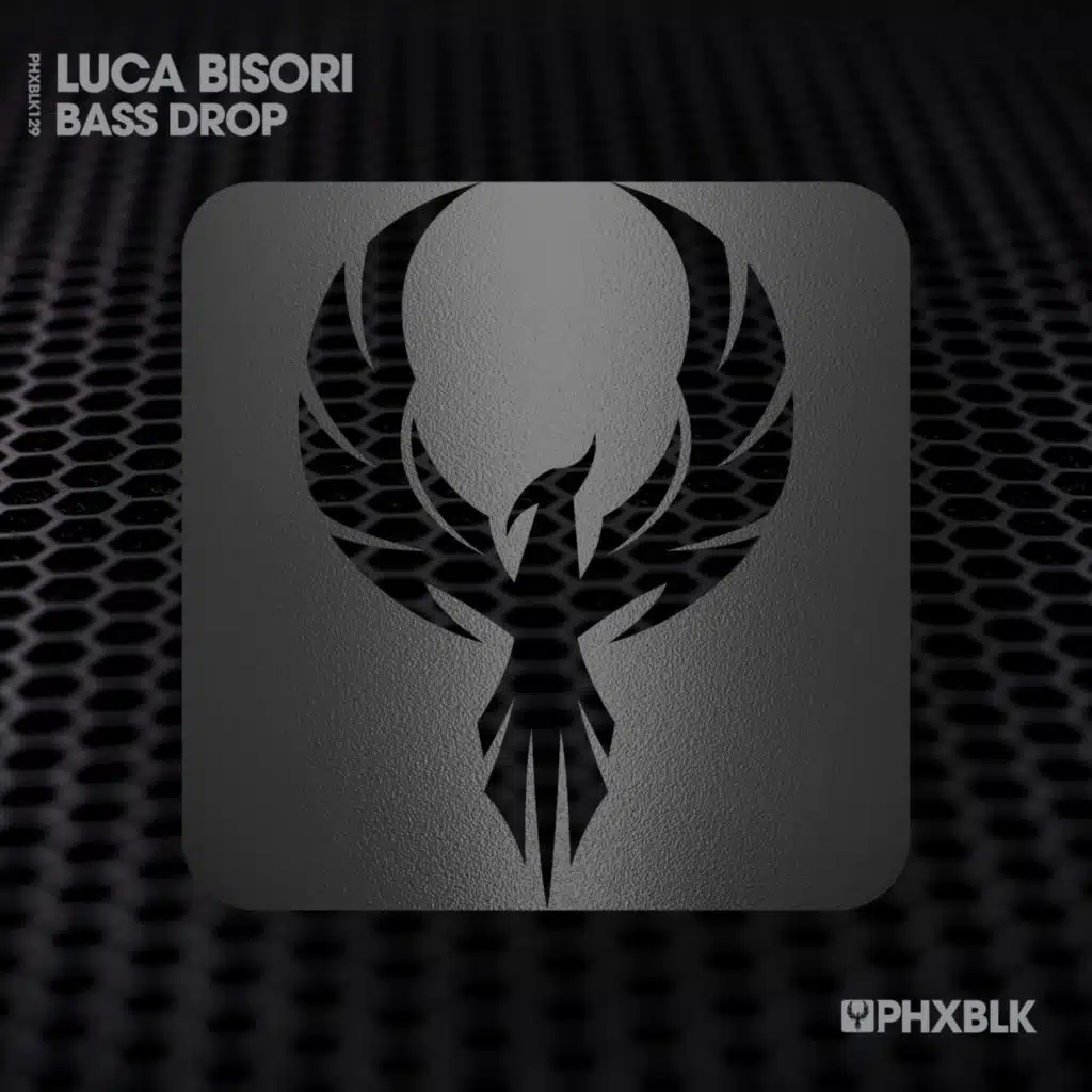 Luca Bisori