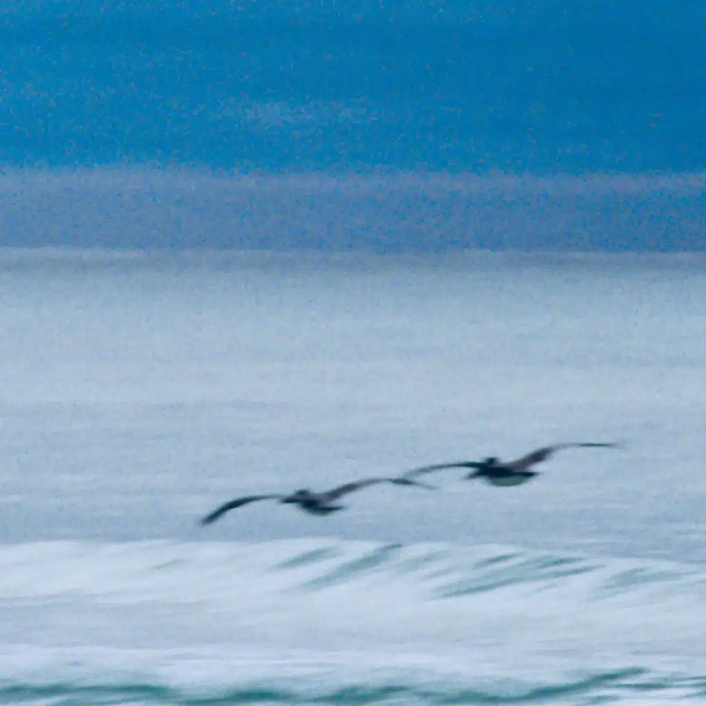 I Couldn't Hate You If I Tried