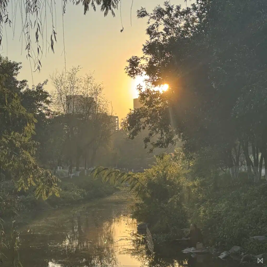 MullMachine & Mullaha