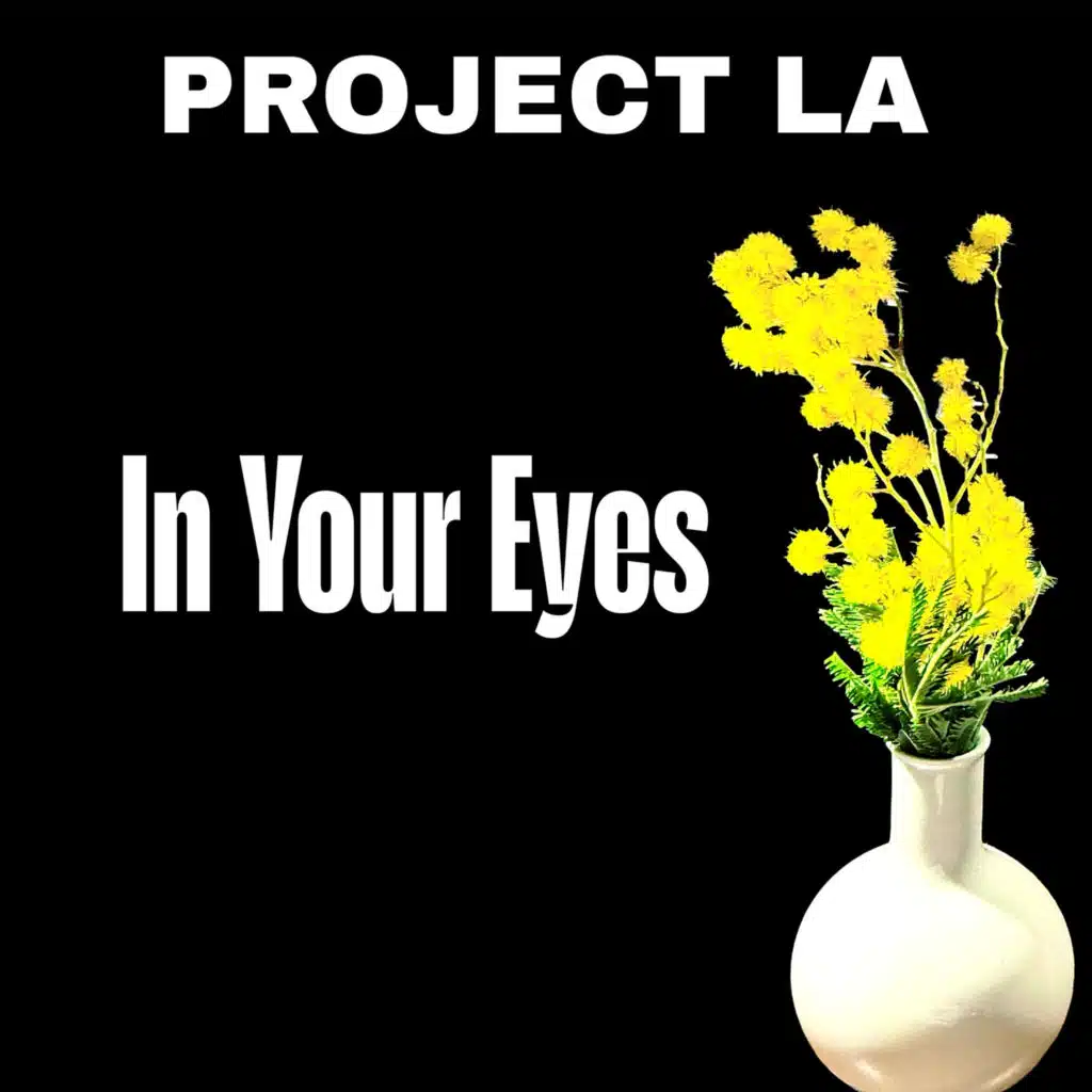 Project LA