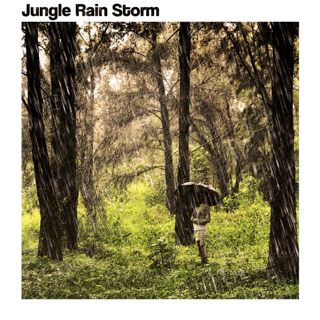 Jungle Rain Storm