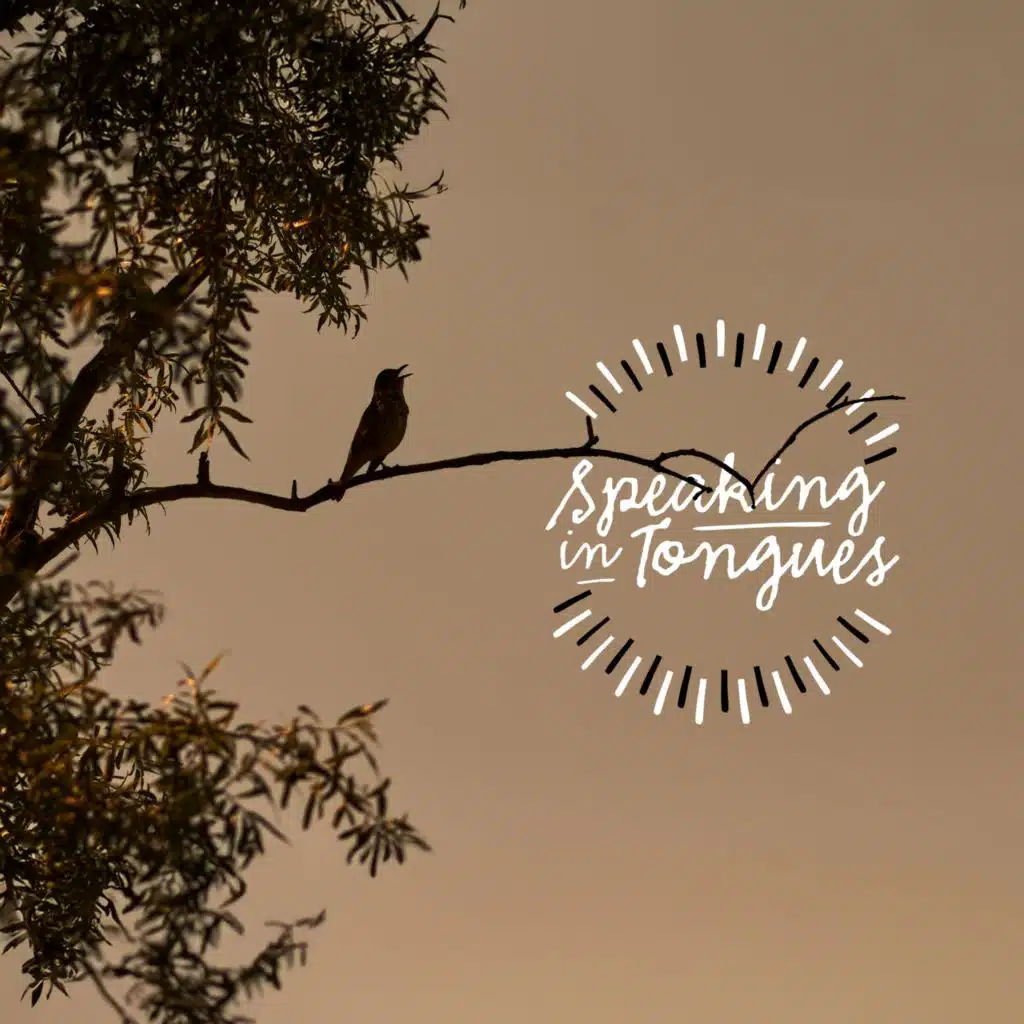Speaking In Tongues