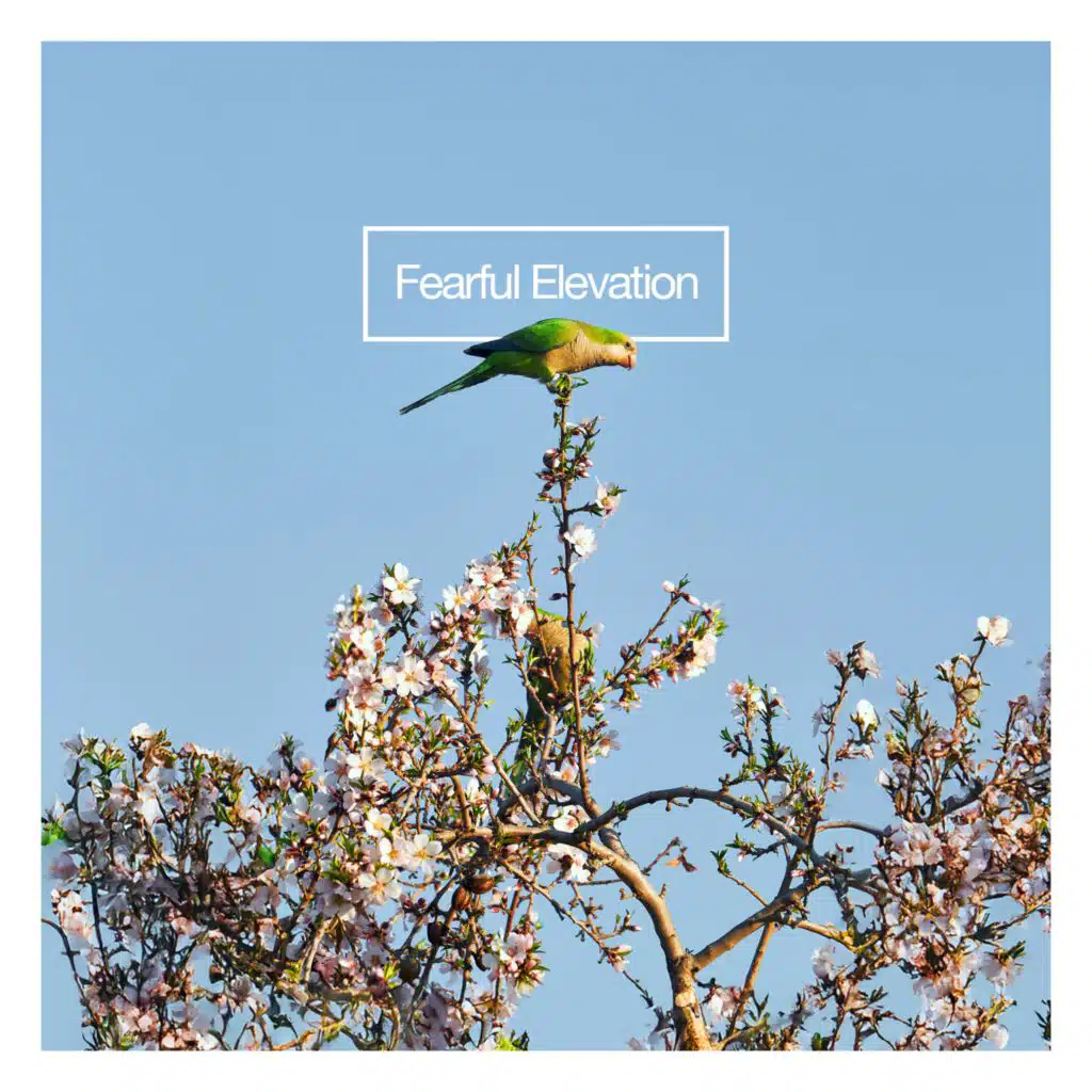 Fearful Elevation