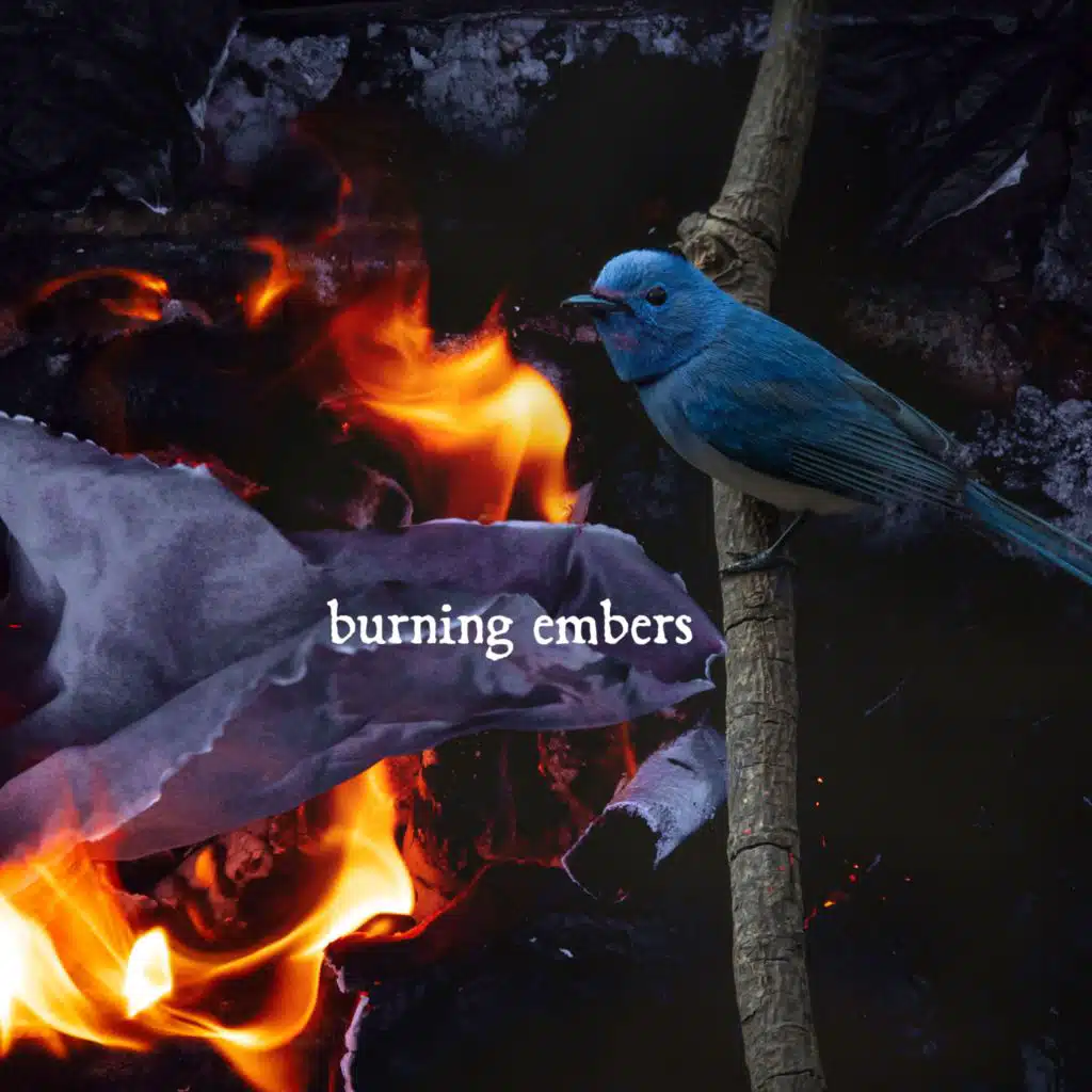 Burning Embers