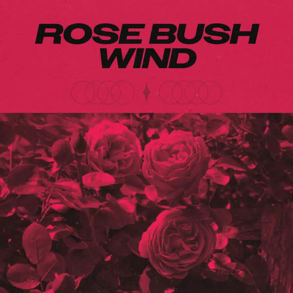 Rose Bush Wind