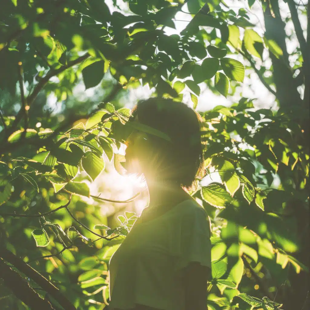 木漏れ日と風の止まる季節 – Where Light and Wind Stay