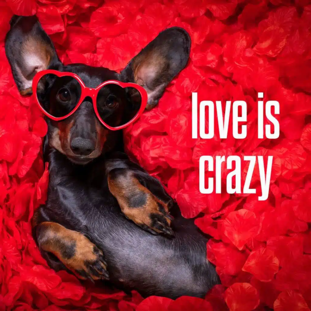 love is crazy