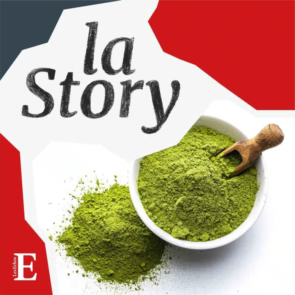 Les secrets du matcha 2/2
