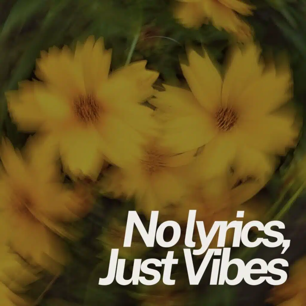 No Lyrics, Just Vibes