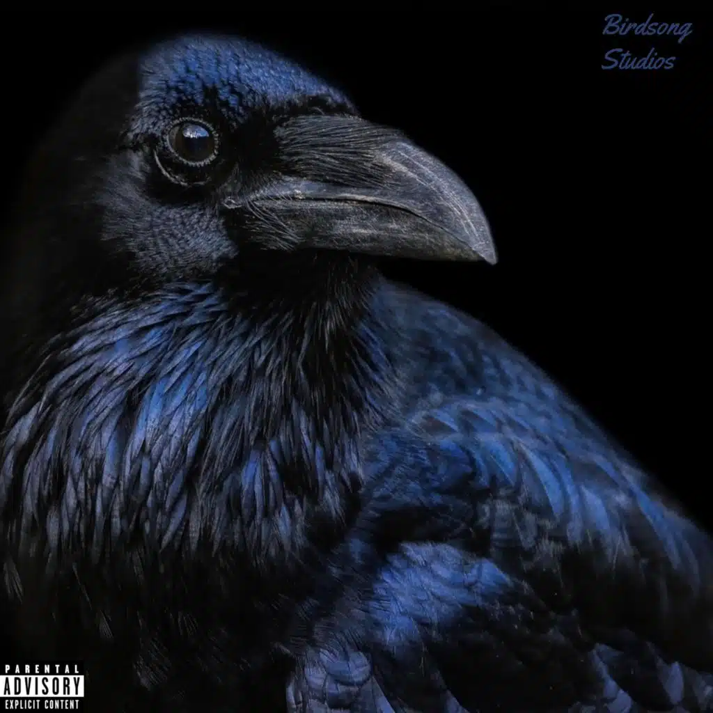 Killer Crows Can’t Cry