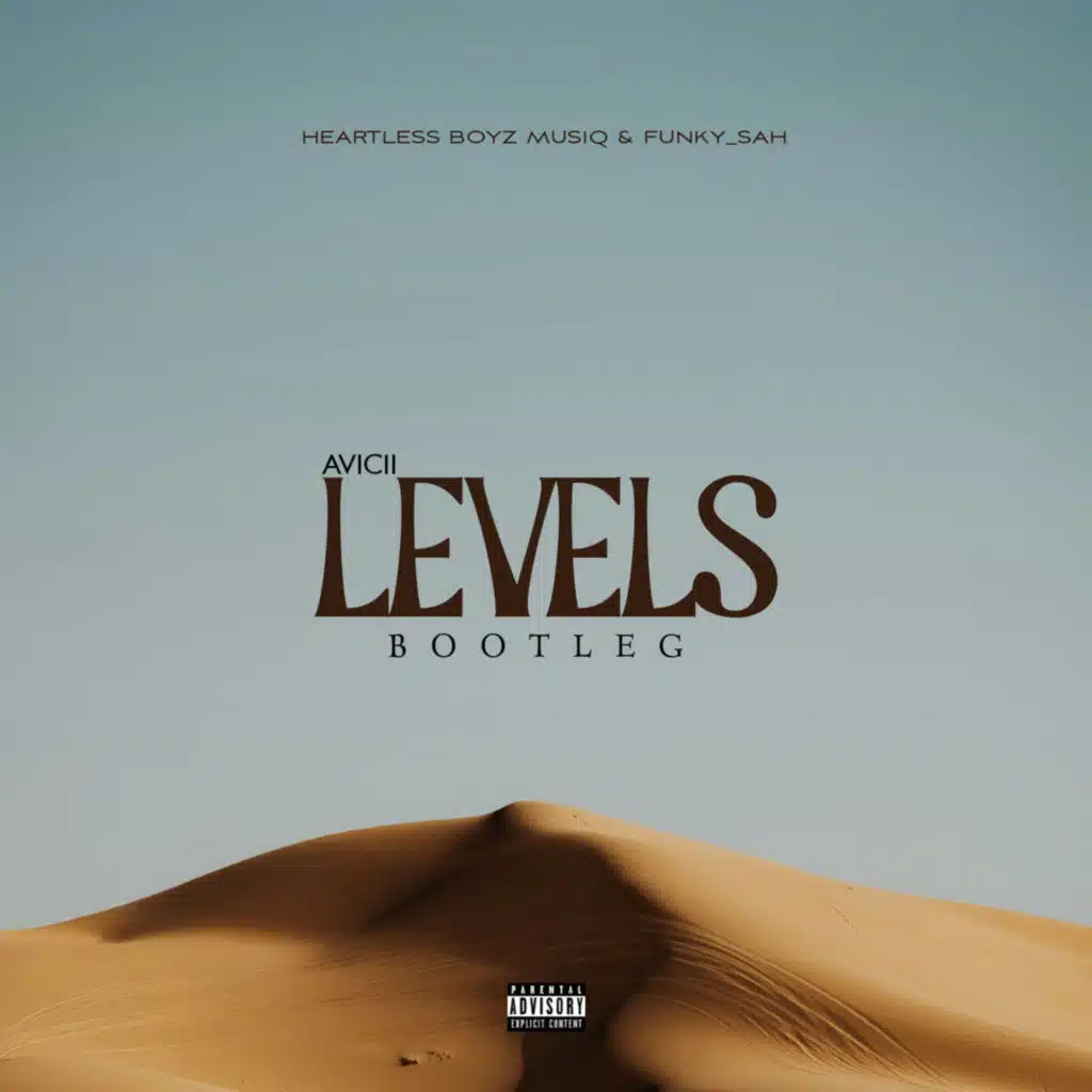 Heartless Boyz MusiQ