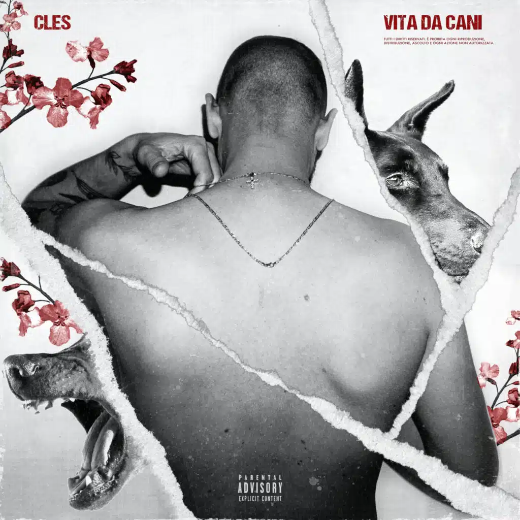 Vita da cani