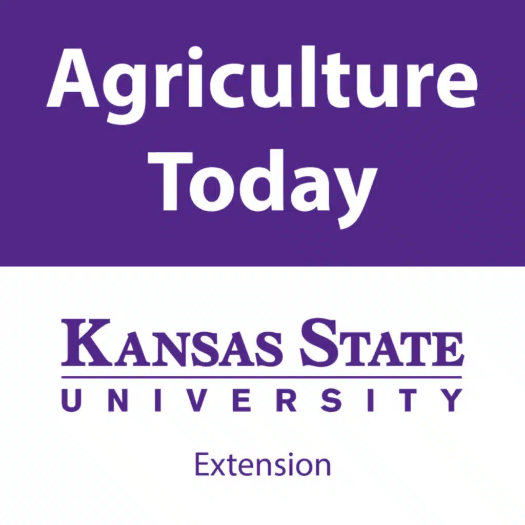 Kansas State University