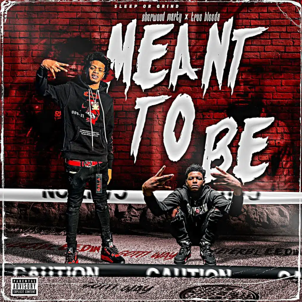 Meant To Be (feat. True Bleeda)