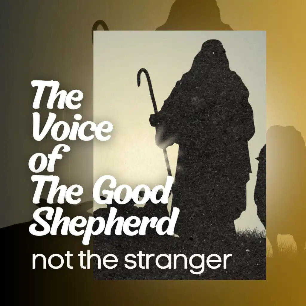"The voice of the good shepherd not the stranger" -March 2, 2025