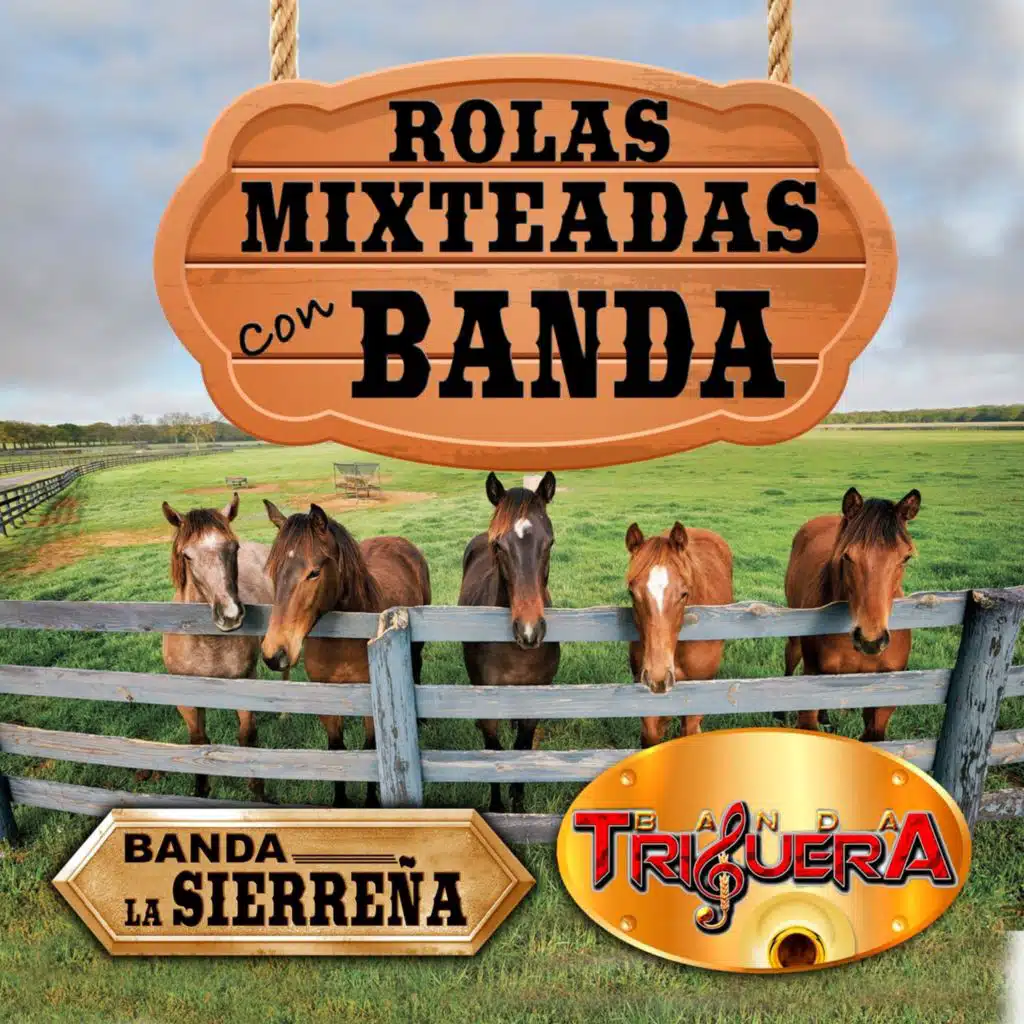 Rolas Mixteadas Con Banda