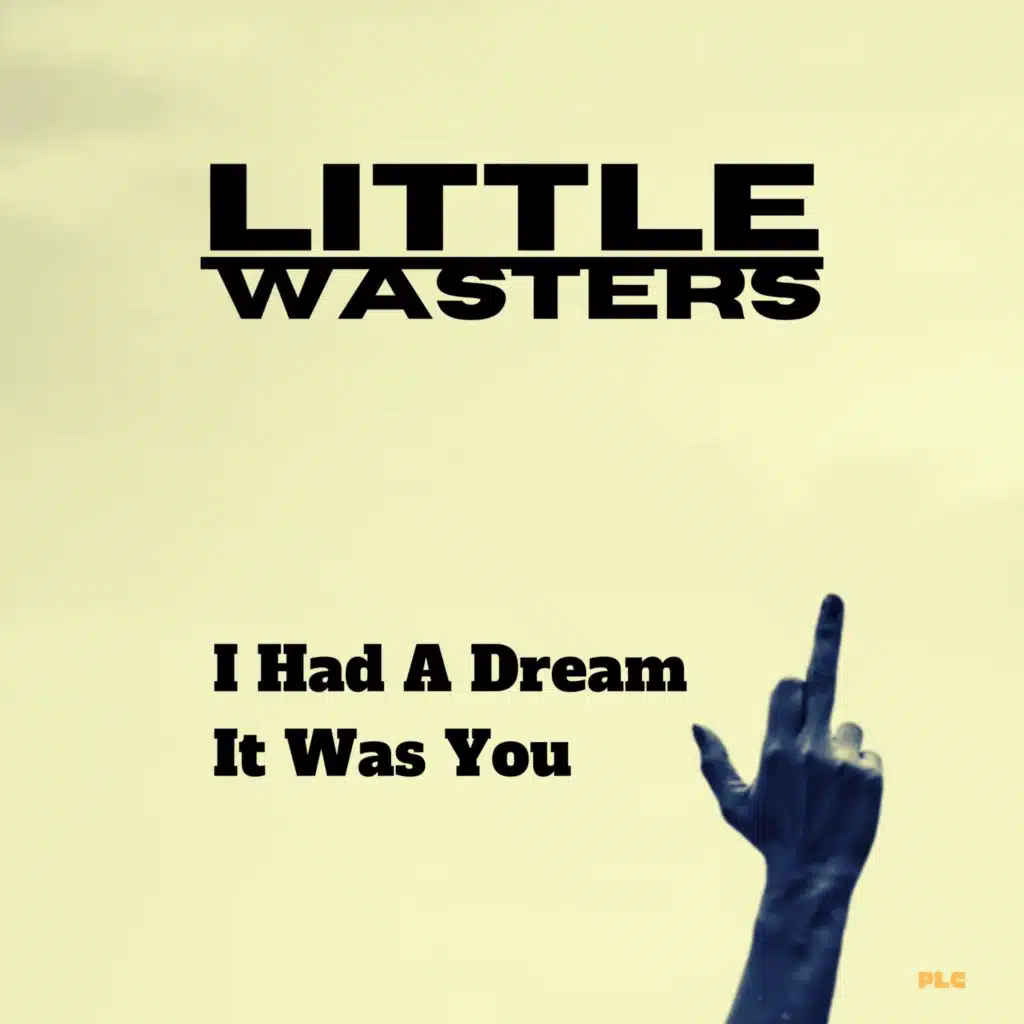 Little Wasters